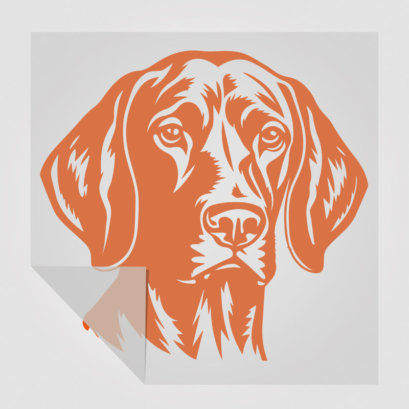 Vizsla Hunde Sticker 2 StickyWorld Exclusive | Foliensticker