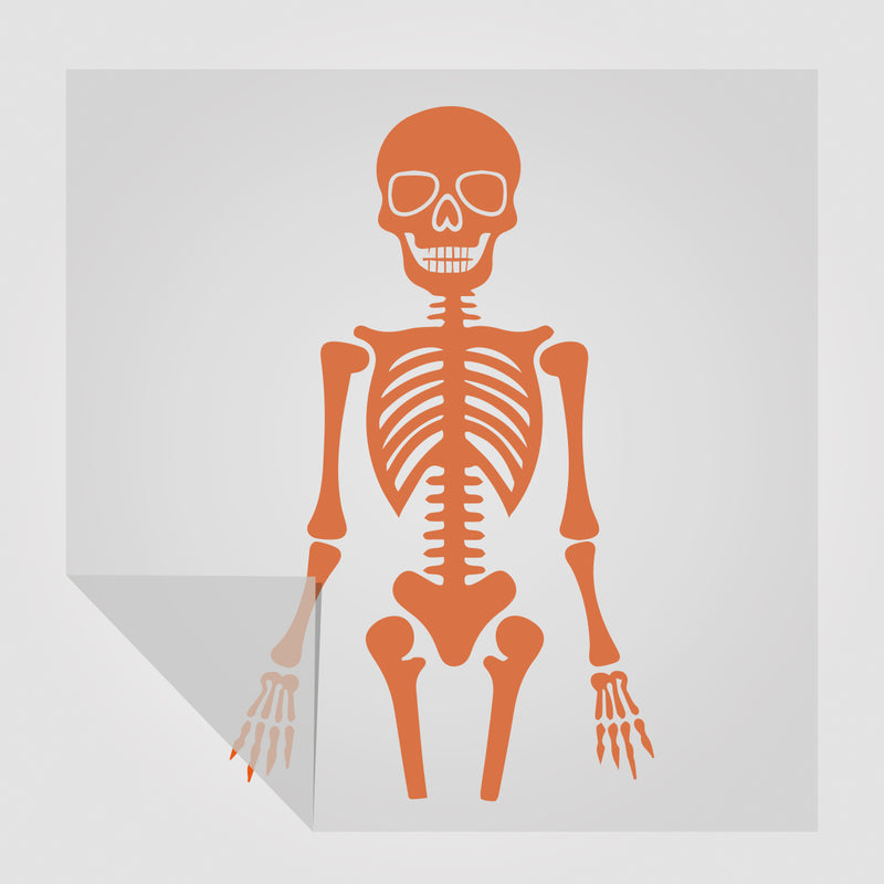 Skelett Sticker | Foliensticker