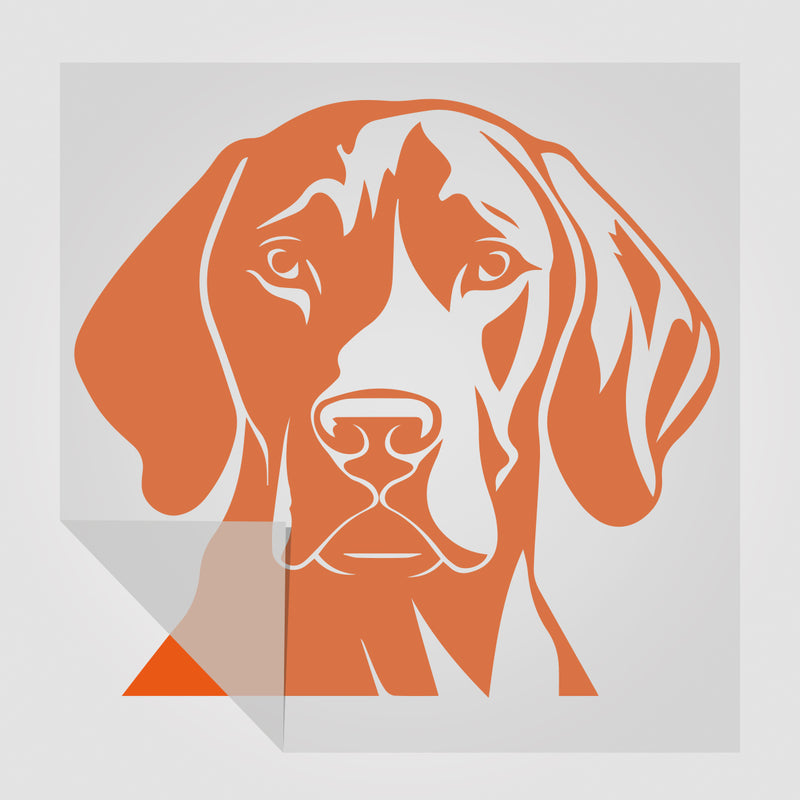 Weimaraner Hunde Sticker StickyWorld Exclusive | Foliensticker